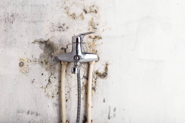 Best Mold Remediation for Schools in Vinton, TX
