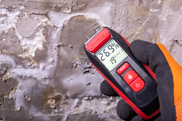 Best Post-Flood Mold Remediation in Vinton, TX