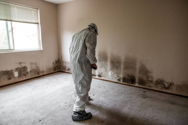 Best Crawl Space Mold Remediation in Vinton, TX